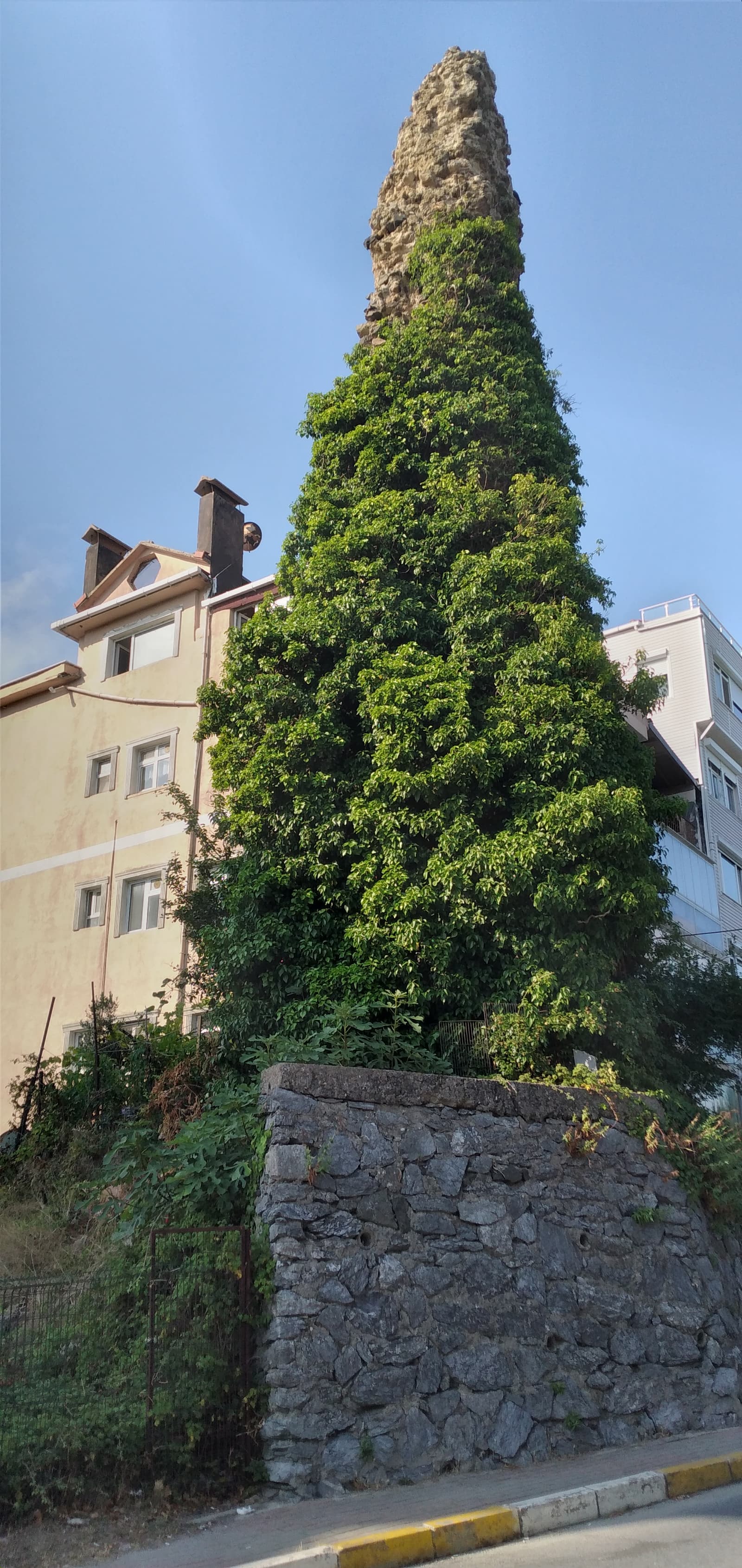 Su Terazisi, Kilyos 2