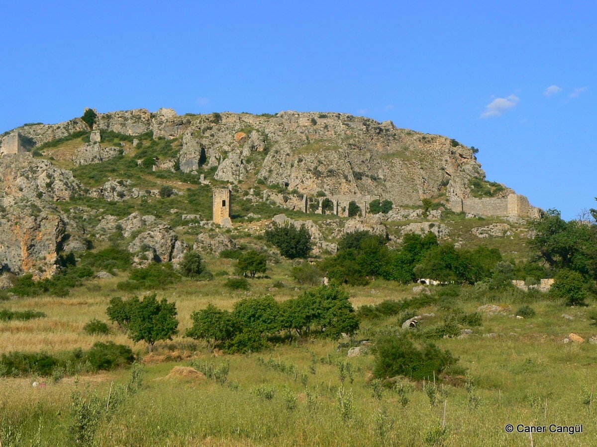 Sillyon