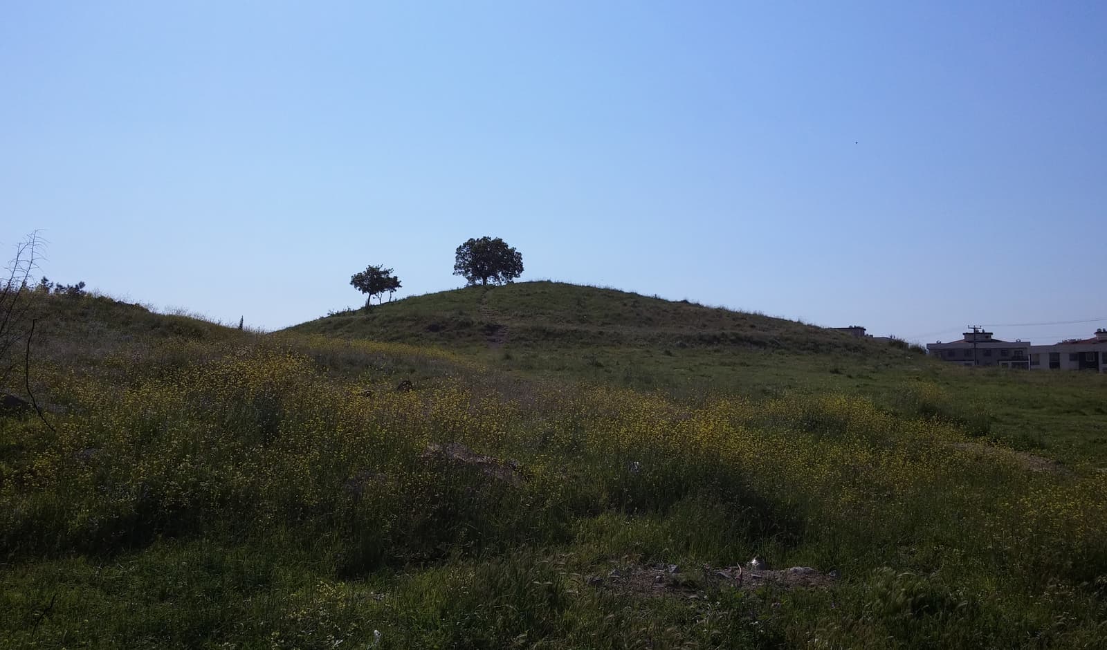 Pergamon İkiztepe Tümülüsü