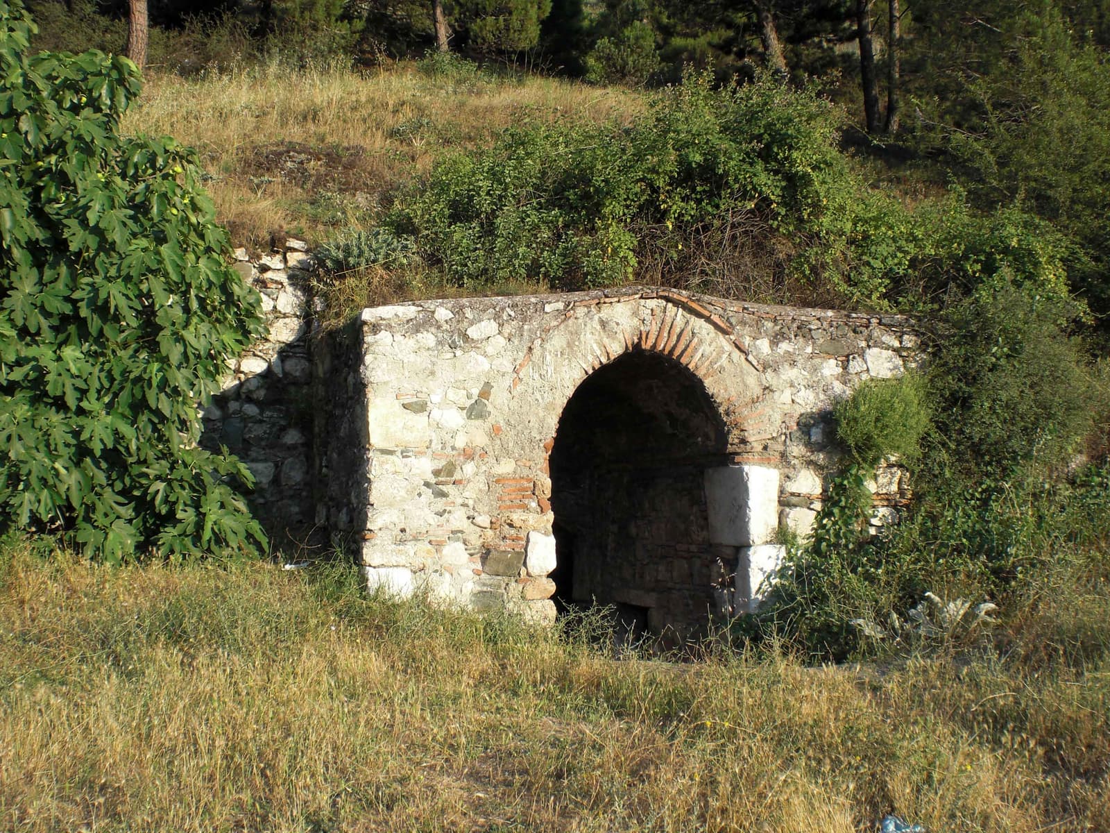 Venk Suyu