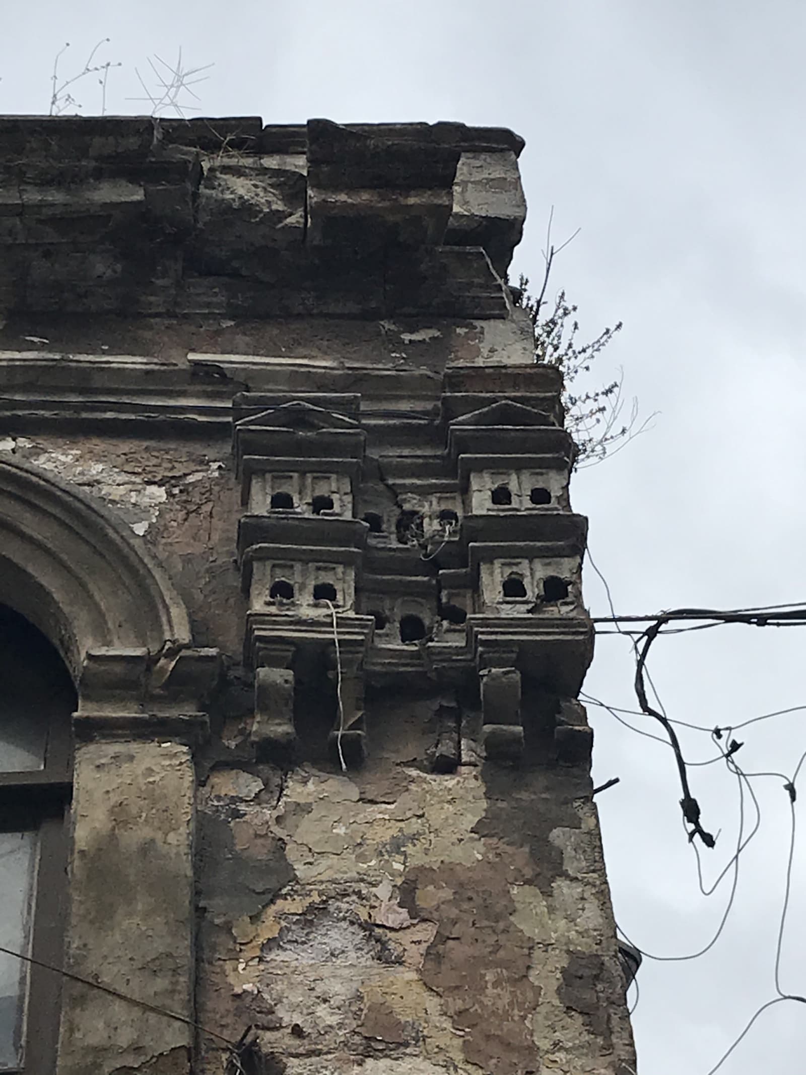Kıble Sokağı Hanı Kuş Evi