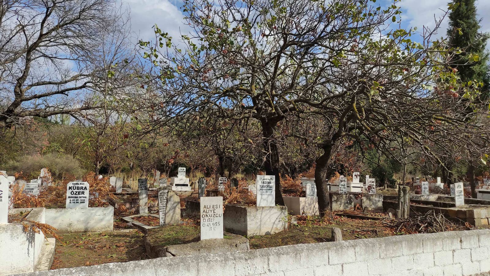 Güdüşlü Mezarlığı