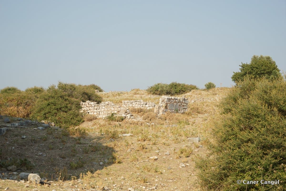Humaytepe Mescidi