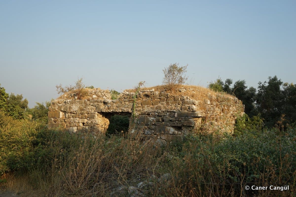 Mescit, Milet