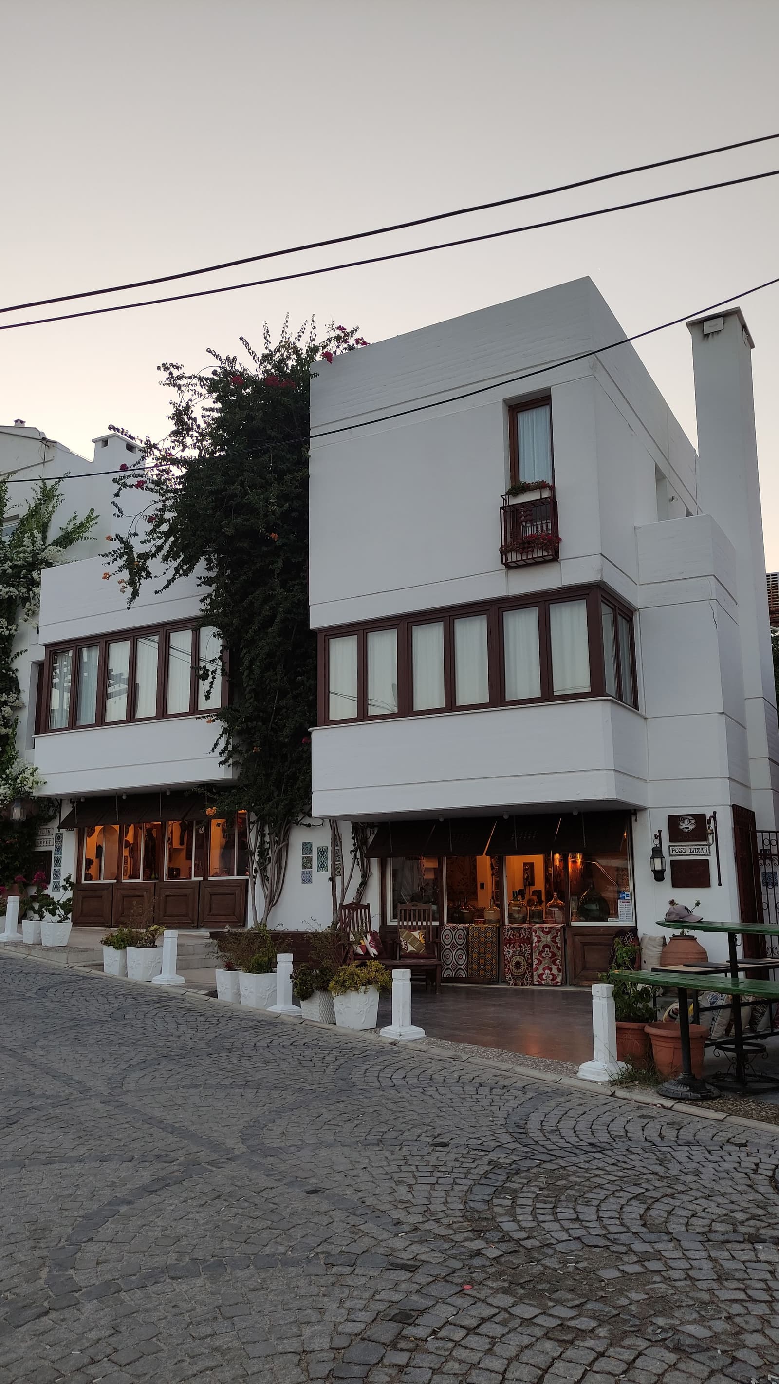 Kangotan Evi