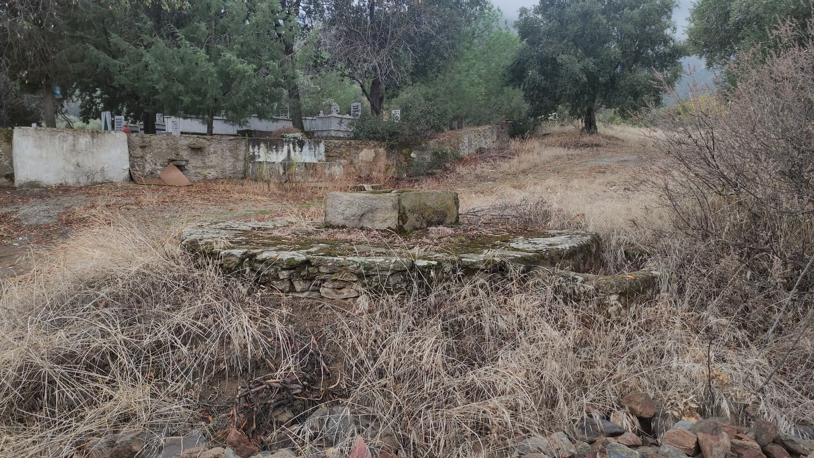 Kuyu, Pınarlı