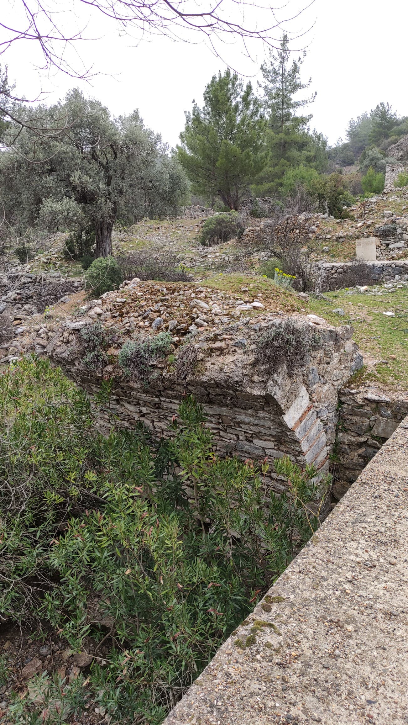 Eski Bayır Köprü Kalıntısı