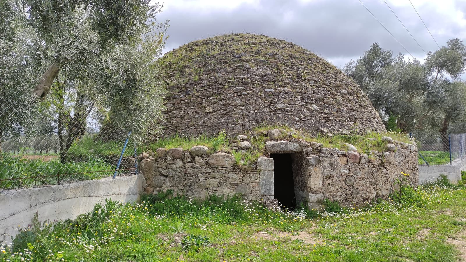 Sarnıç, Akgedik