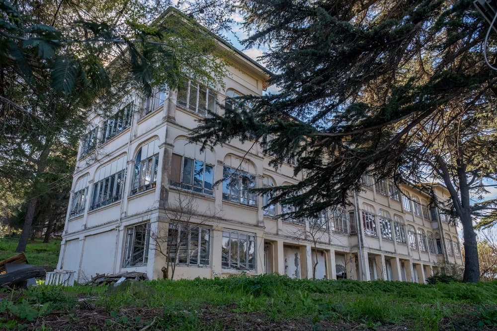 Büyükada Senatoryumu