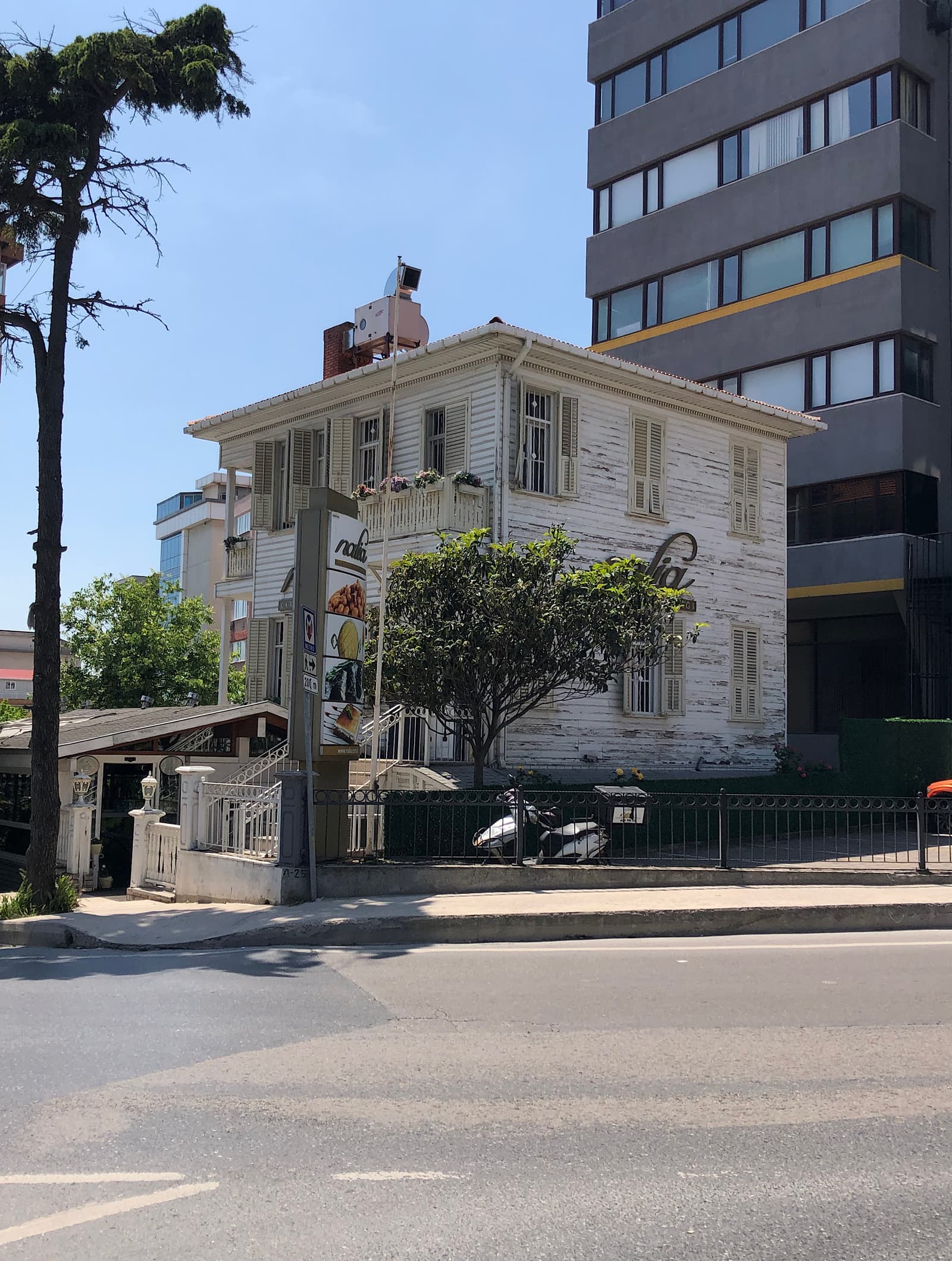 Köşk — İçerenköy, Prof. Dr. Ali Nihat Tarlan, 103