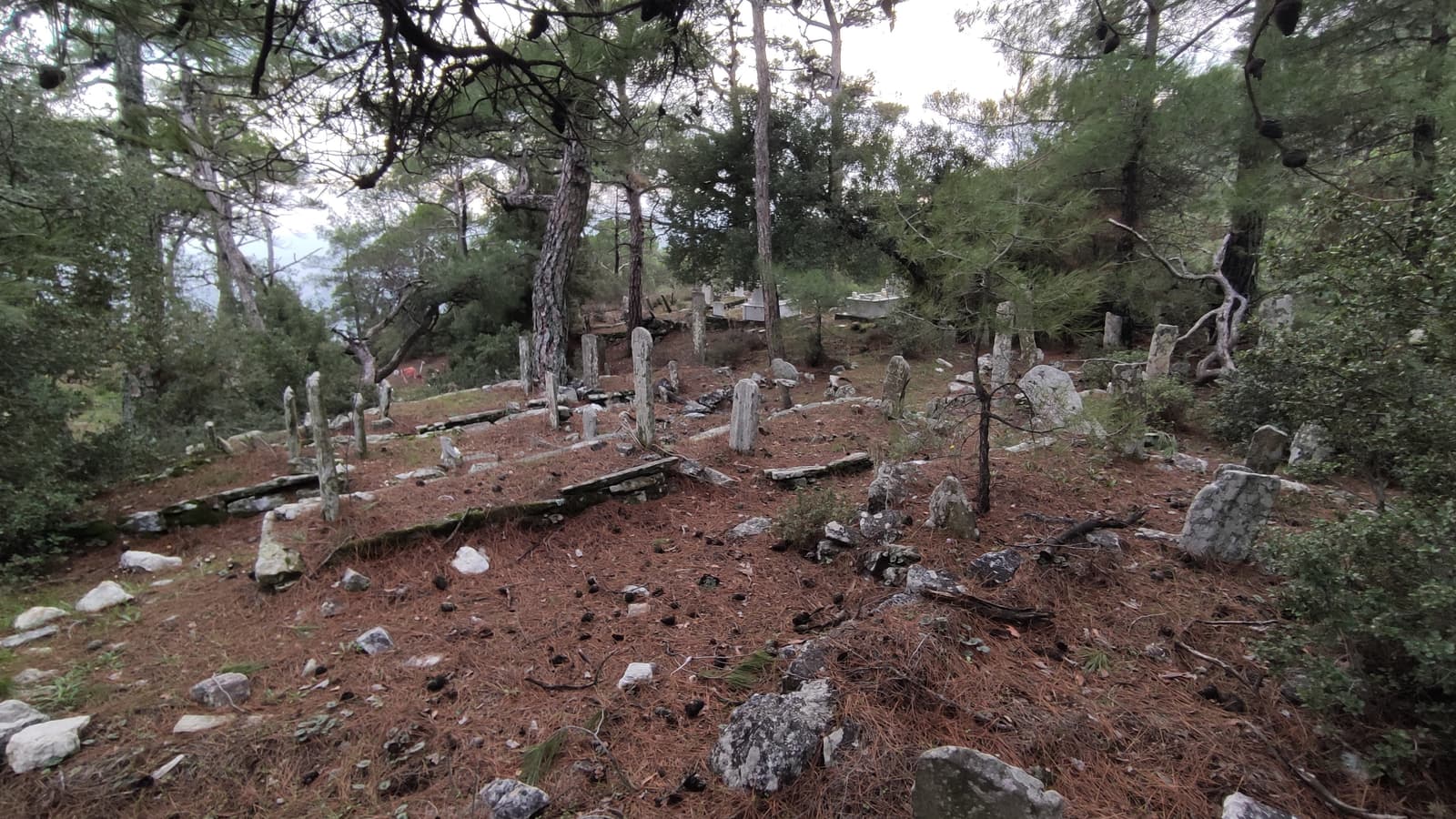 Anadolu Gediği Mezarlığı