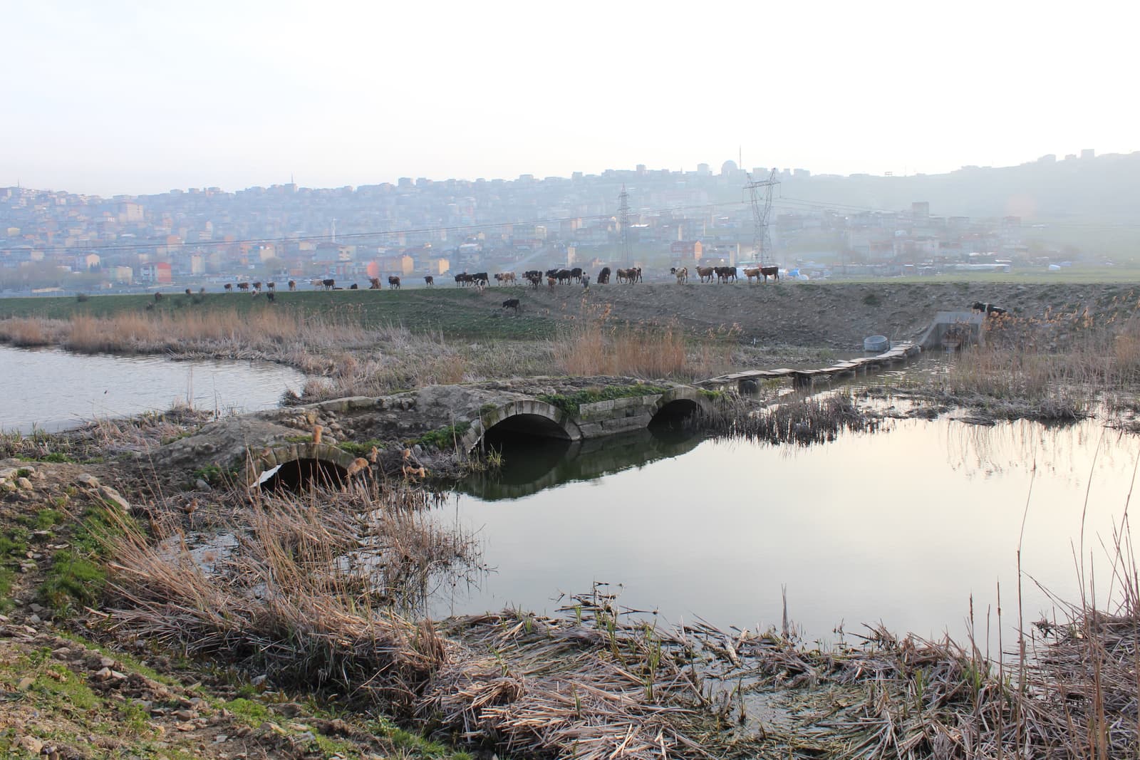 Azadlı Köprüsü