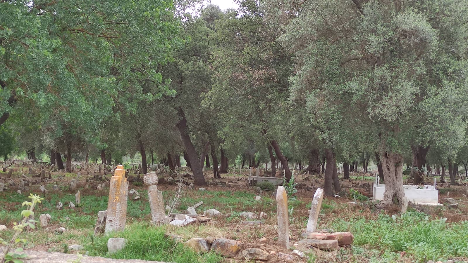 Kafaca Mezarlığı