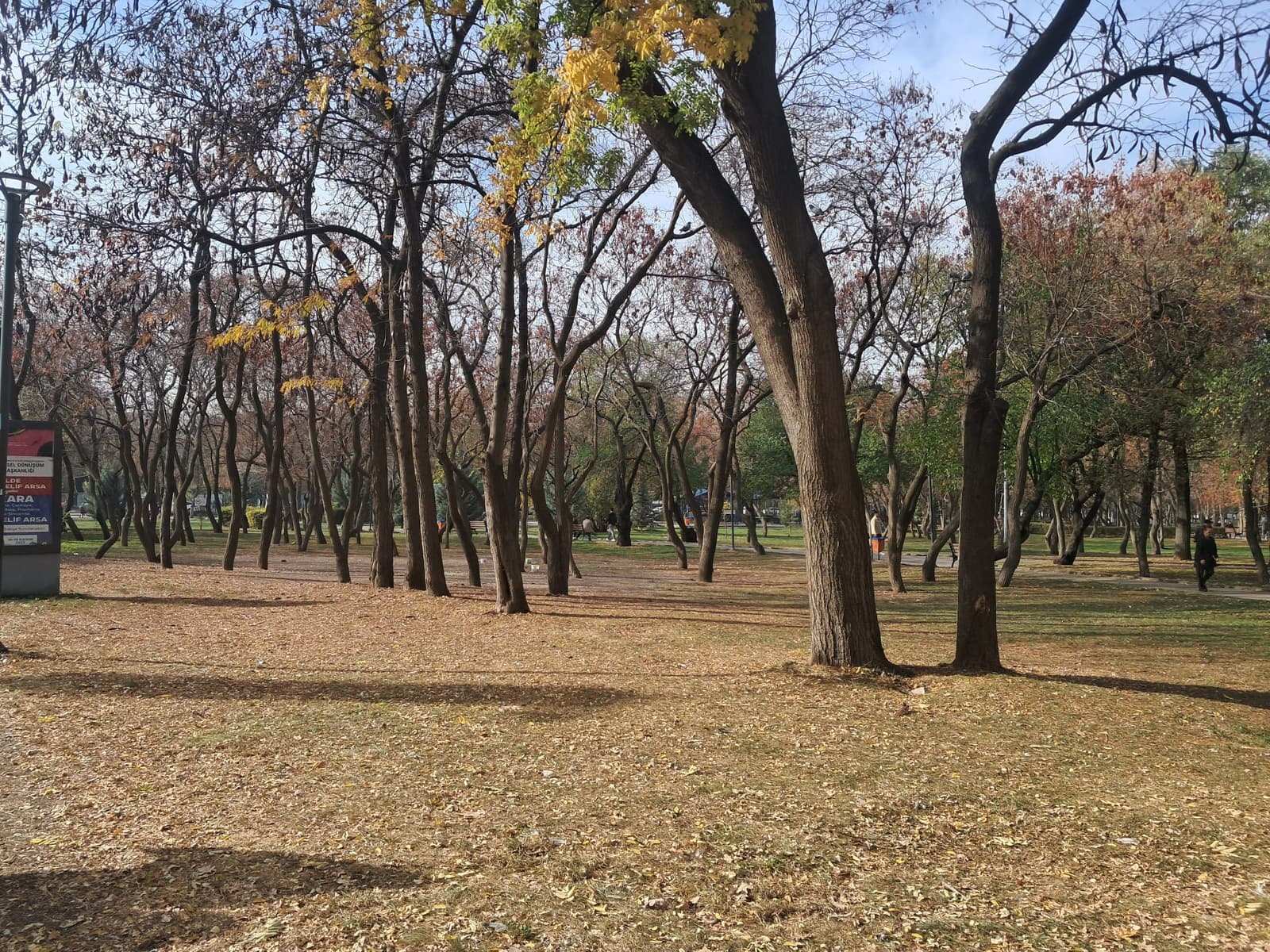 Kurtuluş Parkı