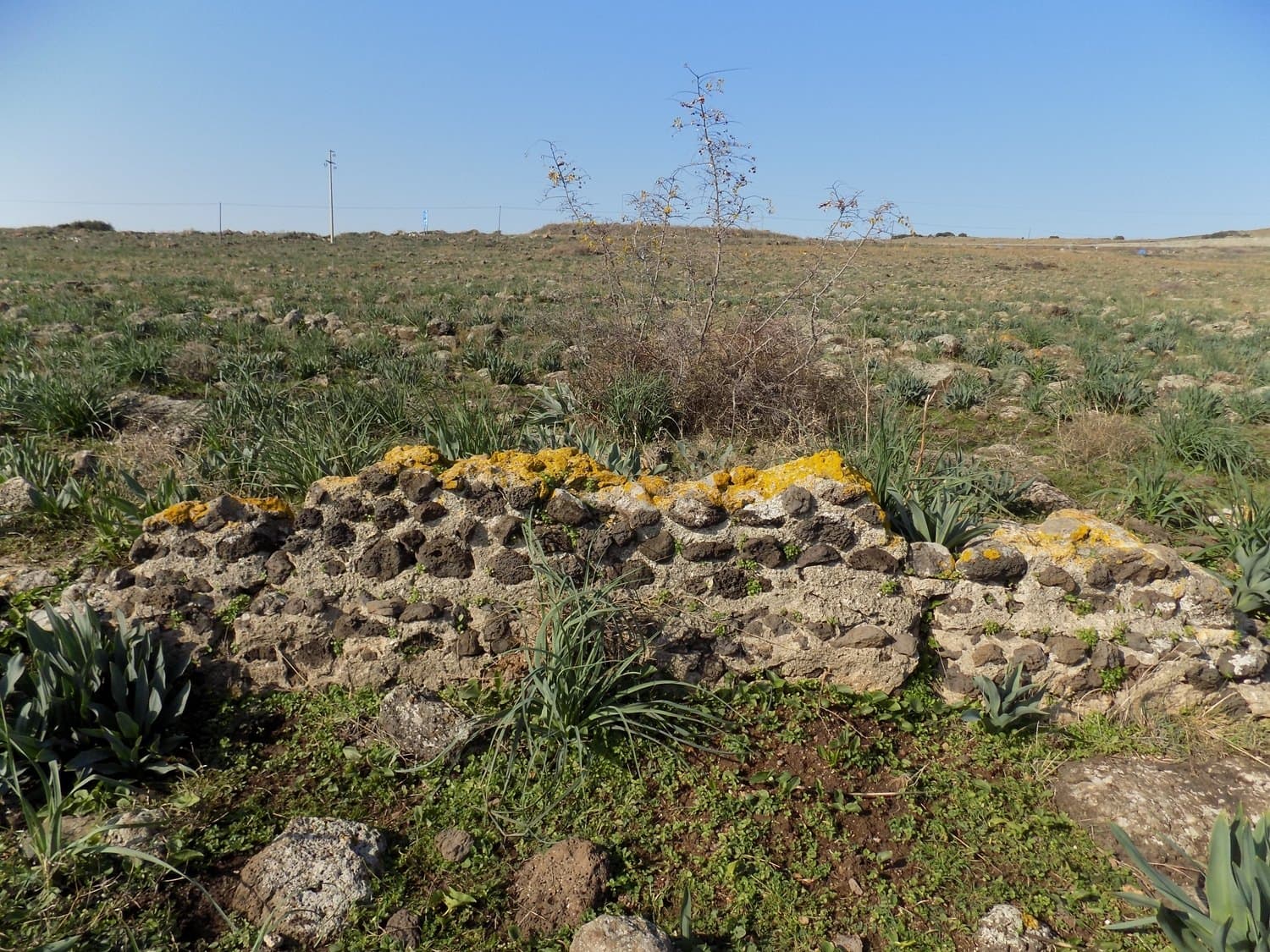 Kurtpınarı Su Yolu ve Su Kemeri