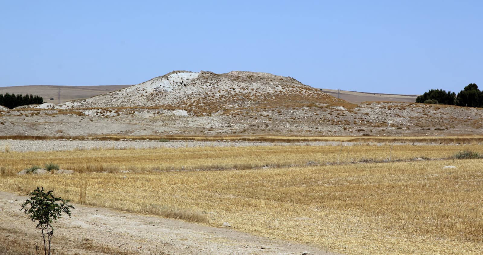 Alişar Höyüğü