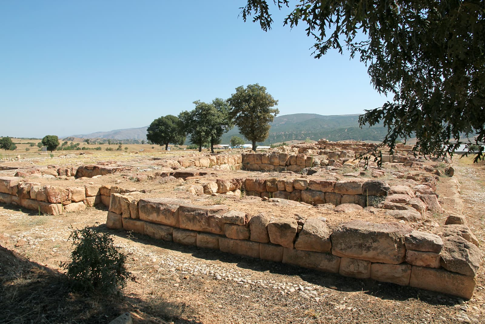 Şapinuva