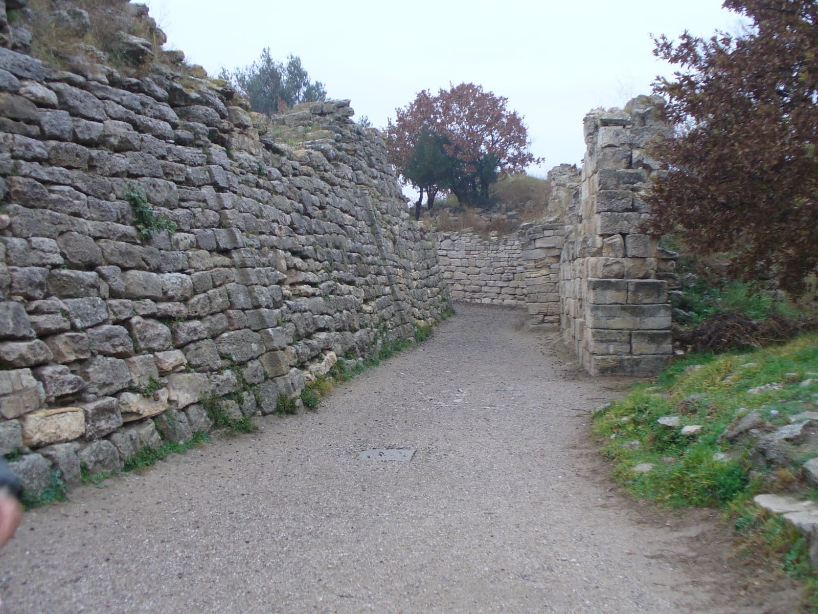 Truva VII
