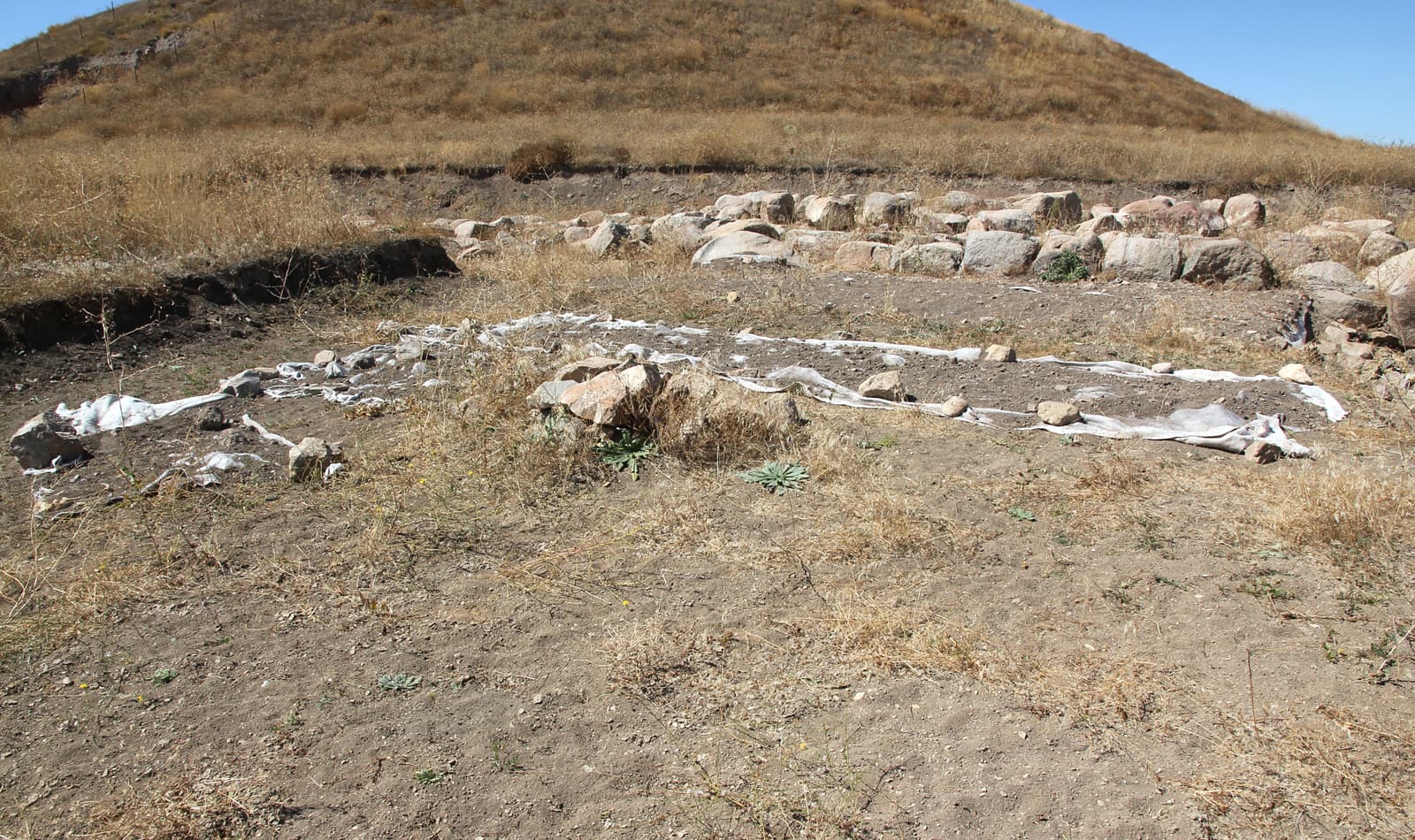 Uşaklı Höyük