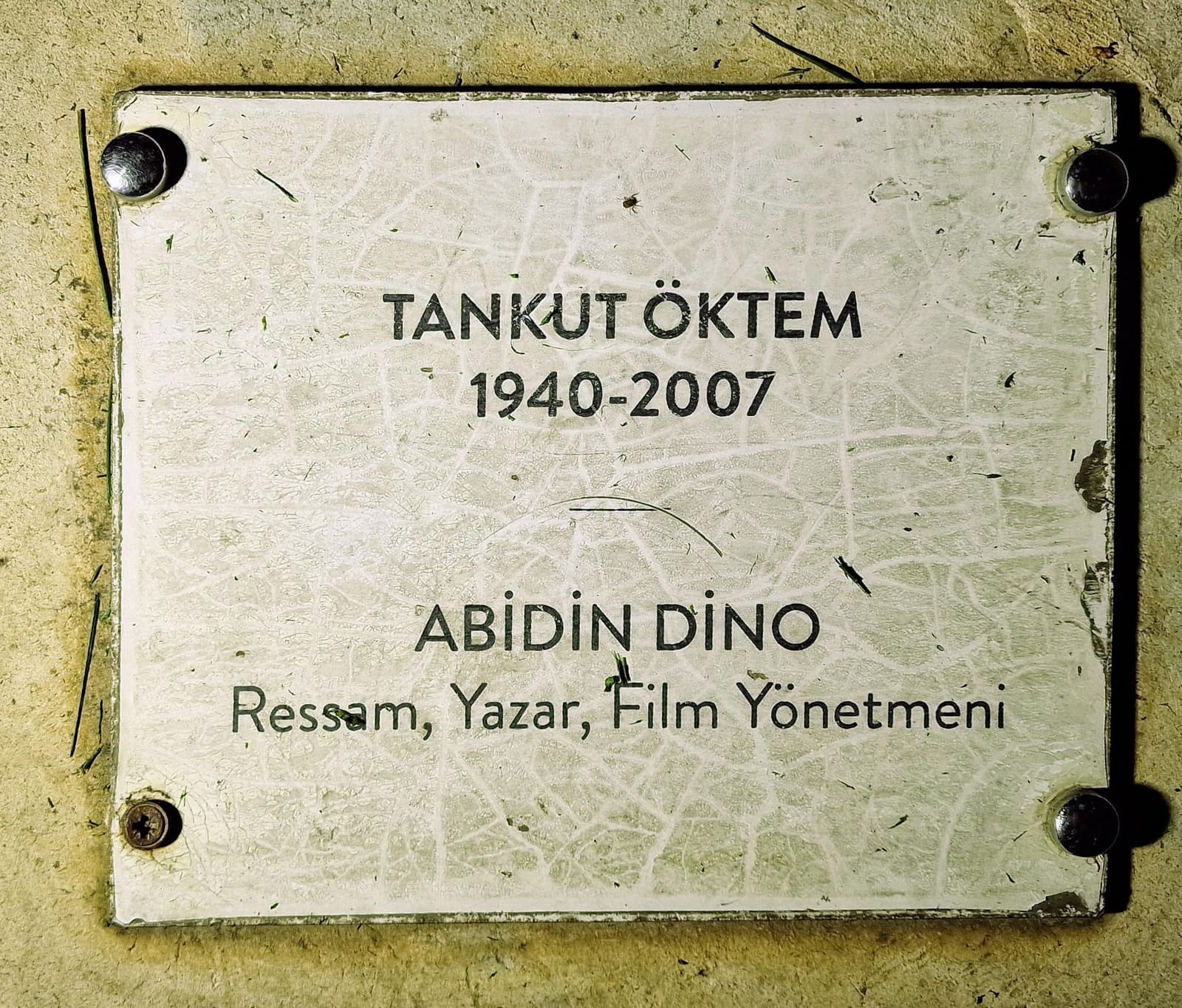 Tankut Öktem