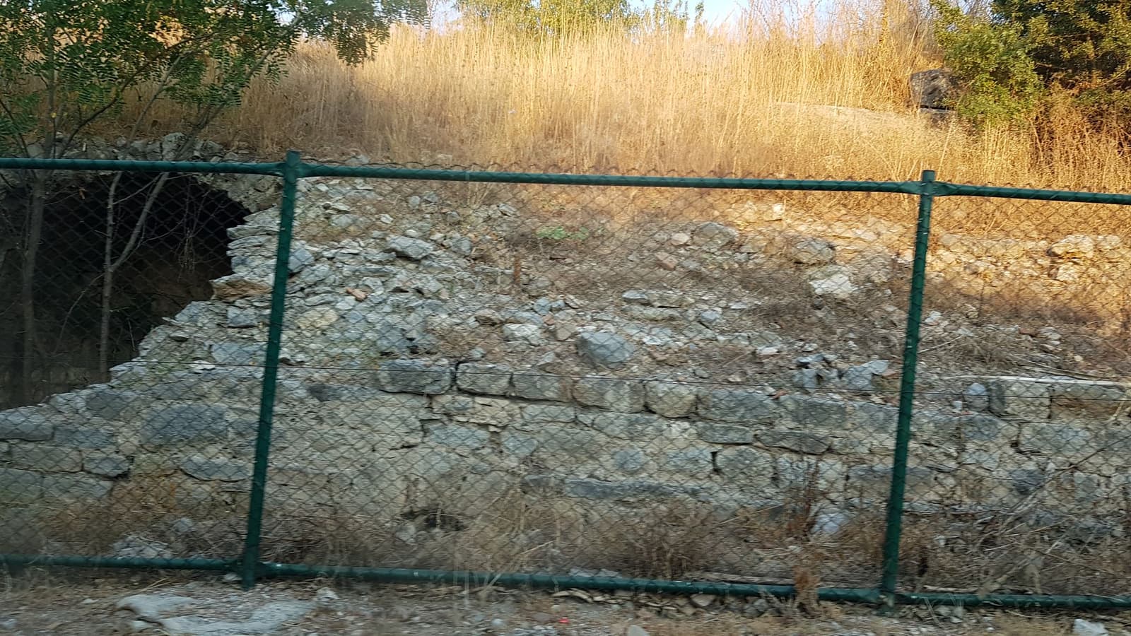 Vedius Gymnasionu