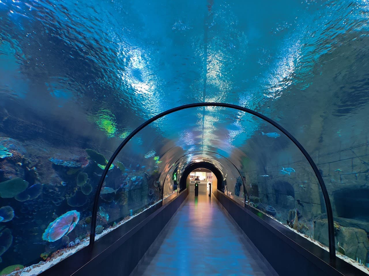 Trabzon Aquarium