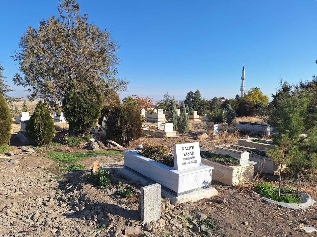 Basri Şeyh Kabri