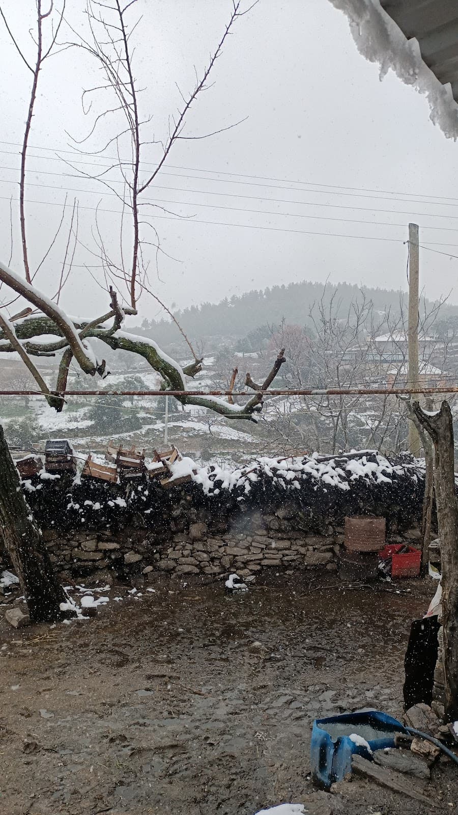 Ektirli Arkeolojik Yerleşimi