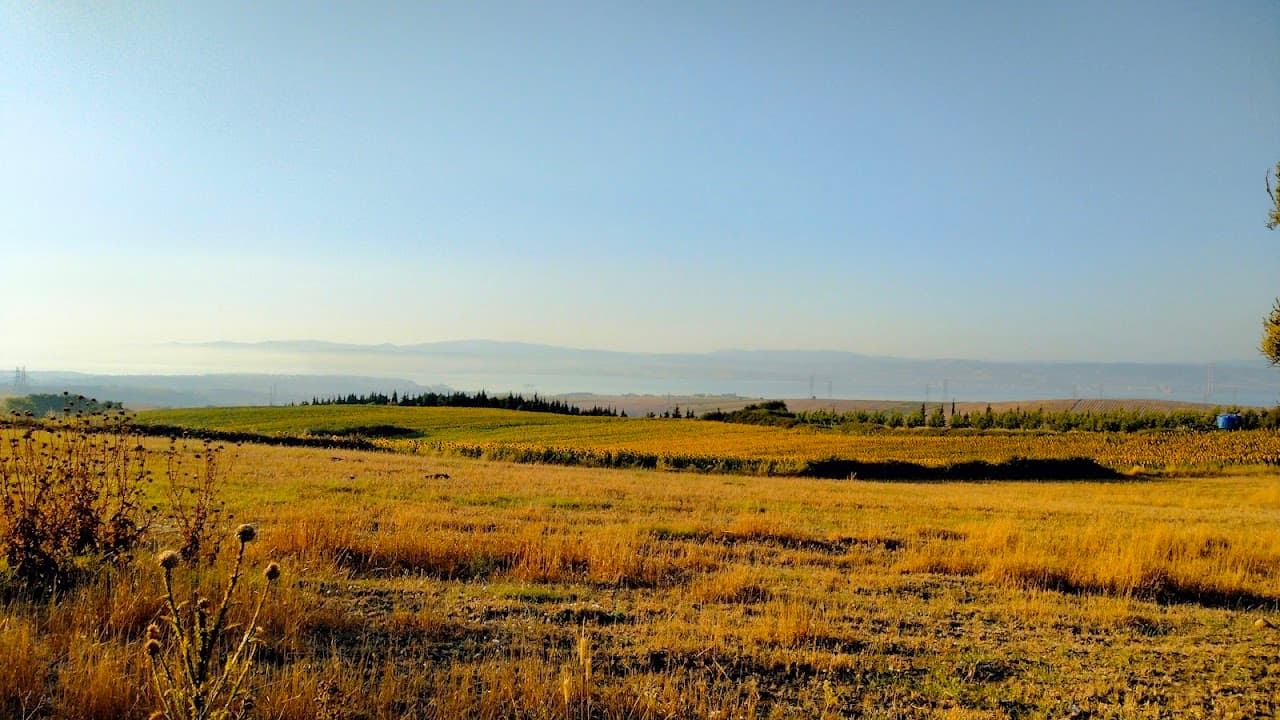 Kavaklıtepe Köyü Bizans Yerleşimi