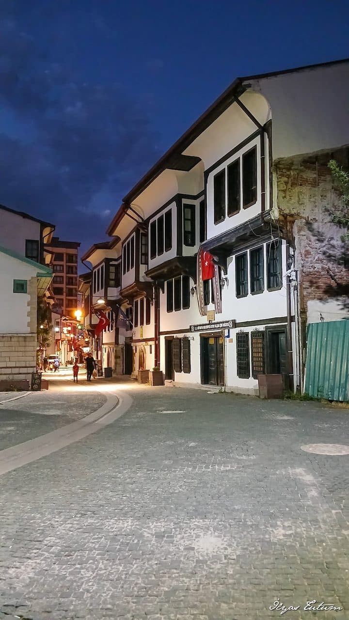 Germiyan Konakları