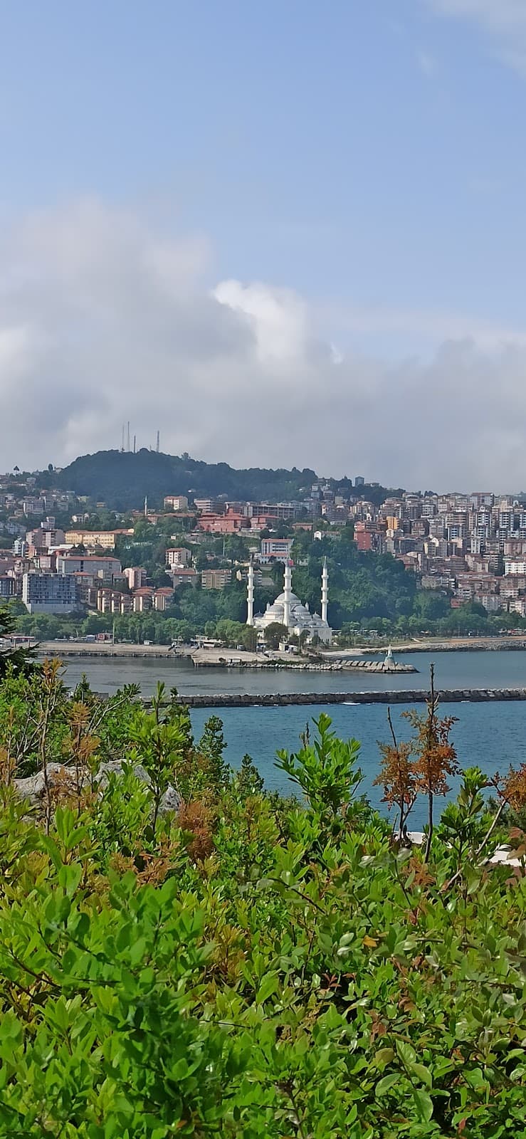 Dalgakıran Şehir Manzarası