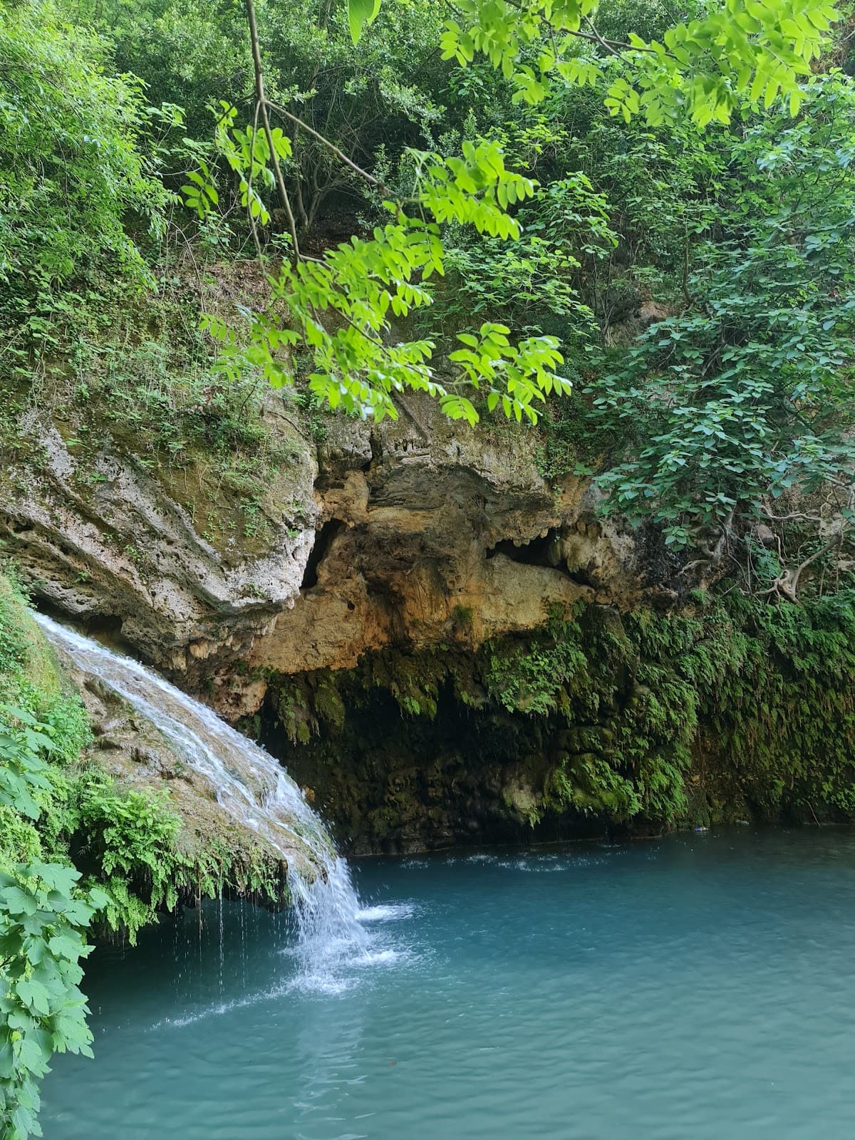 Çerçioğlu Yeşil Şelalesi