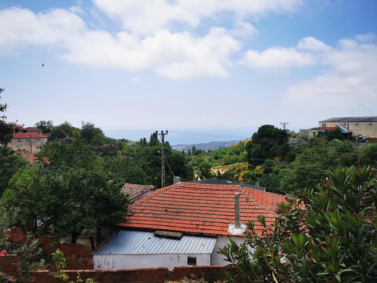 Konut-Çınarlı, Şarköy