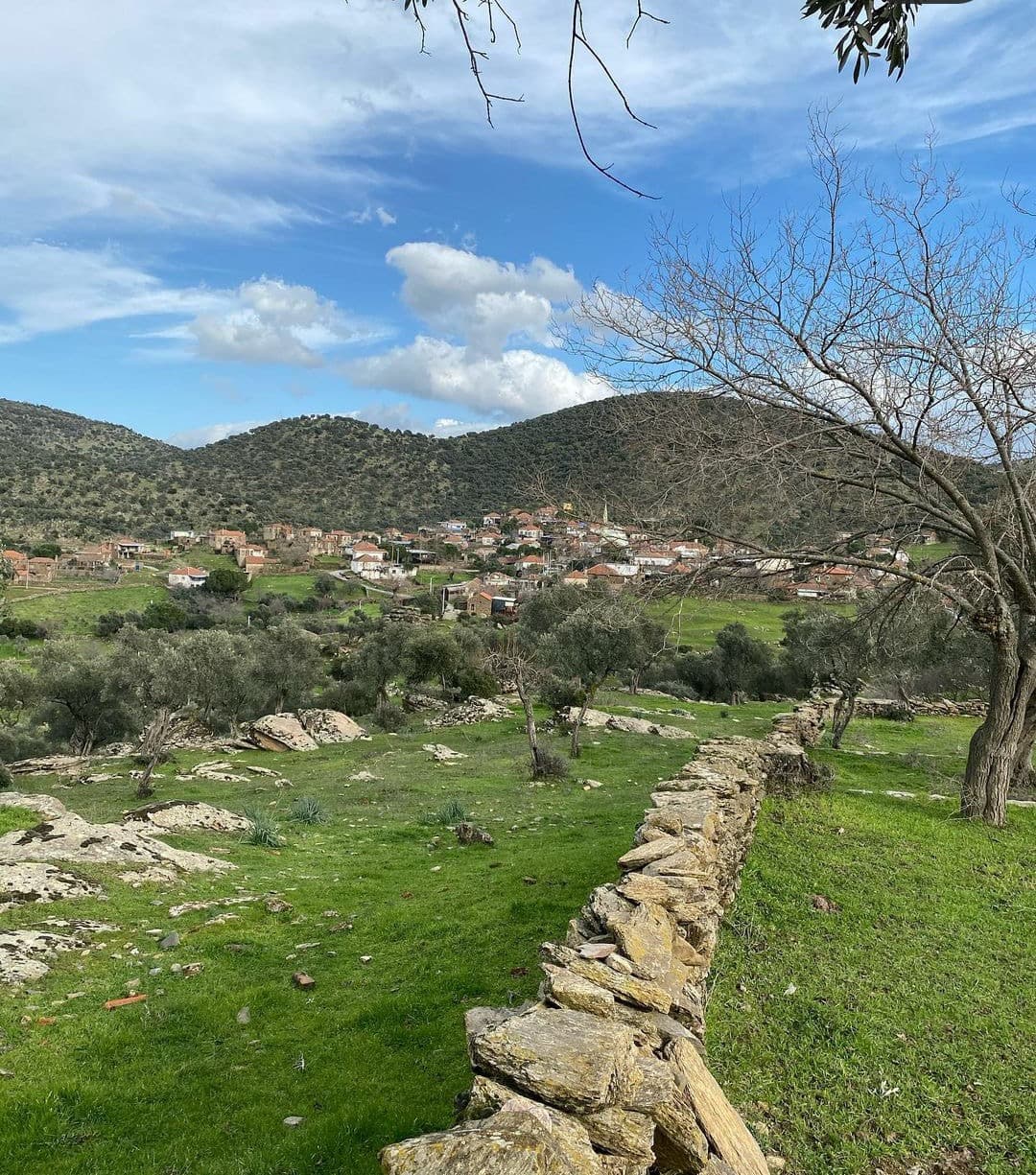 Ayan Kulesi, Bölüntü