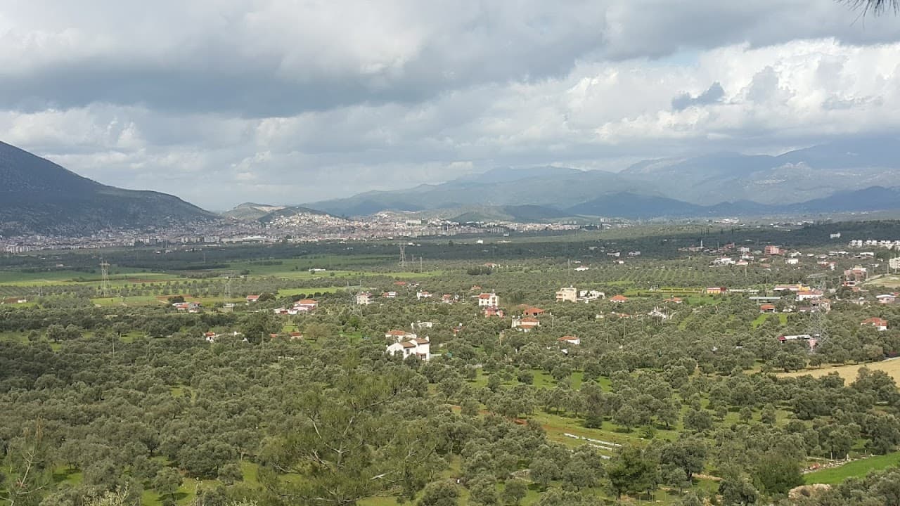 Konut – Hisarbaşı, Zahire Pazarı Sokak, 1