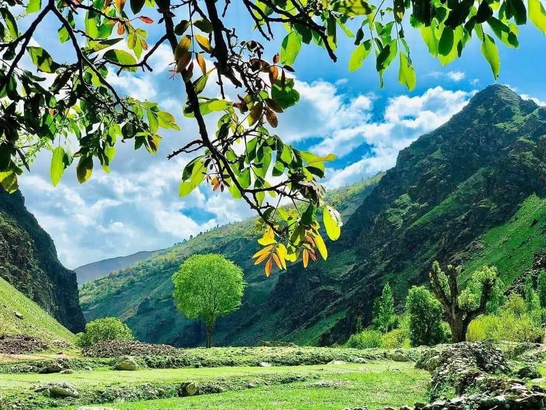 Korsot Kalesi