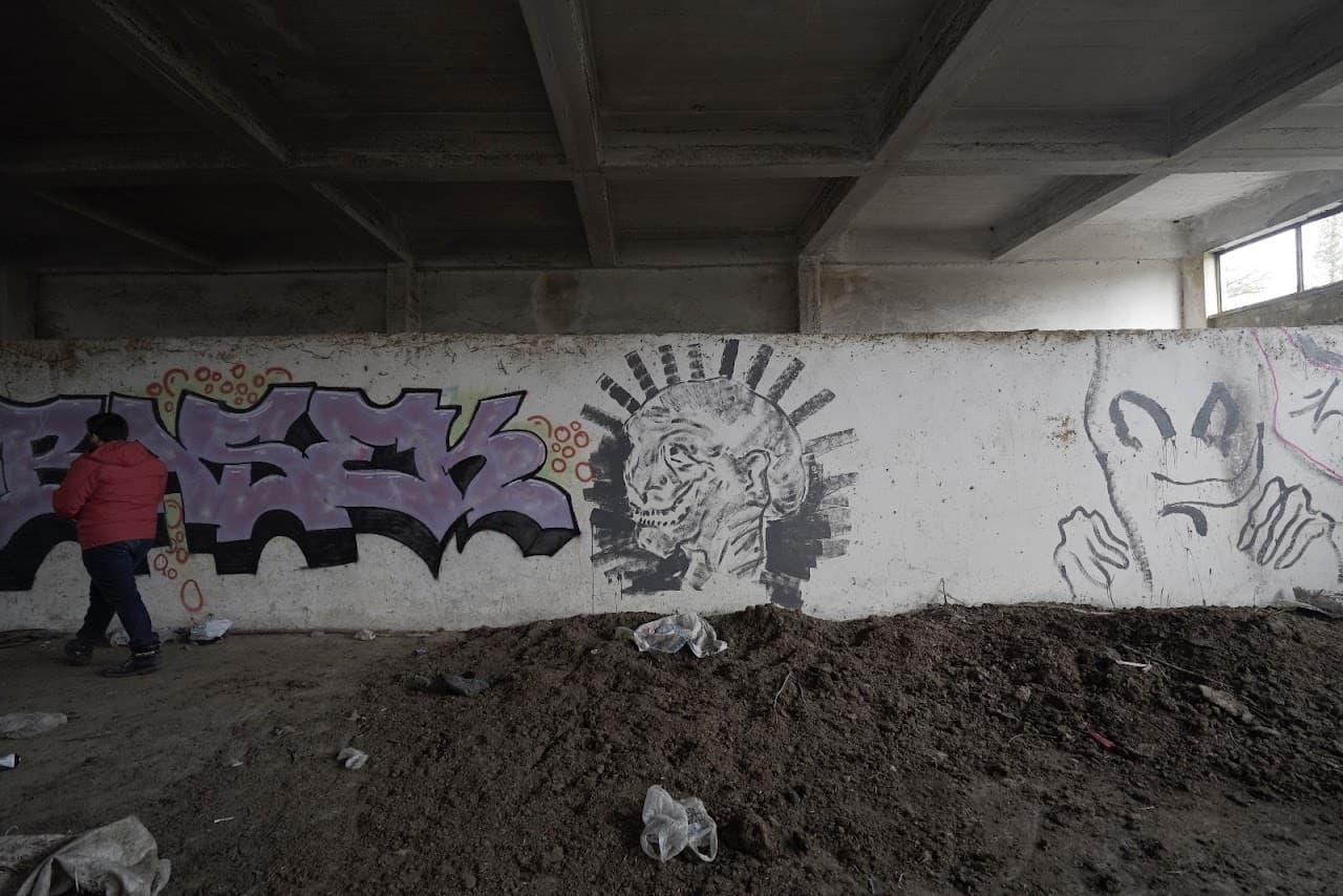 Samsun Graffiti House