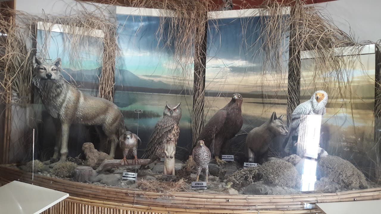 Bird museum