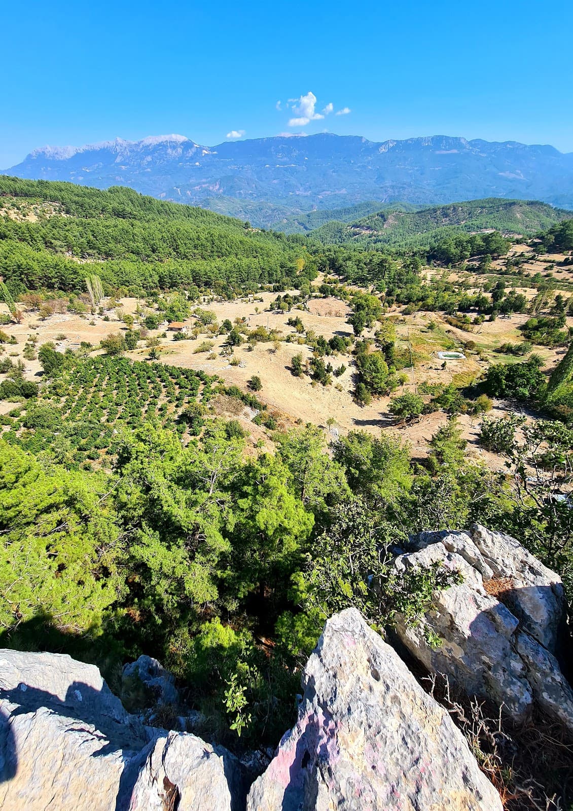 Akalissos