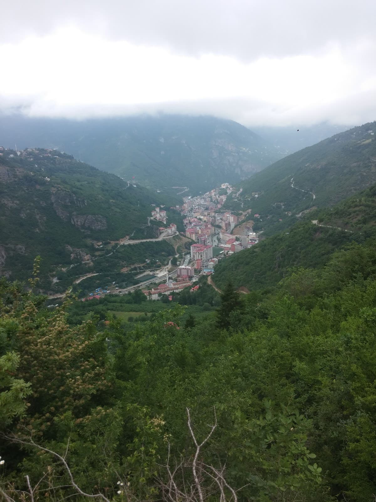 Livera Gözetleme Kulesi