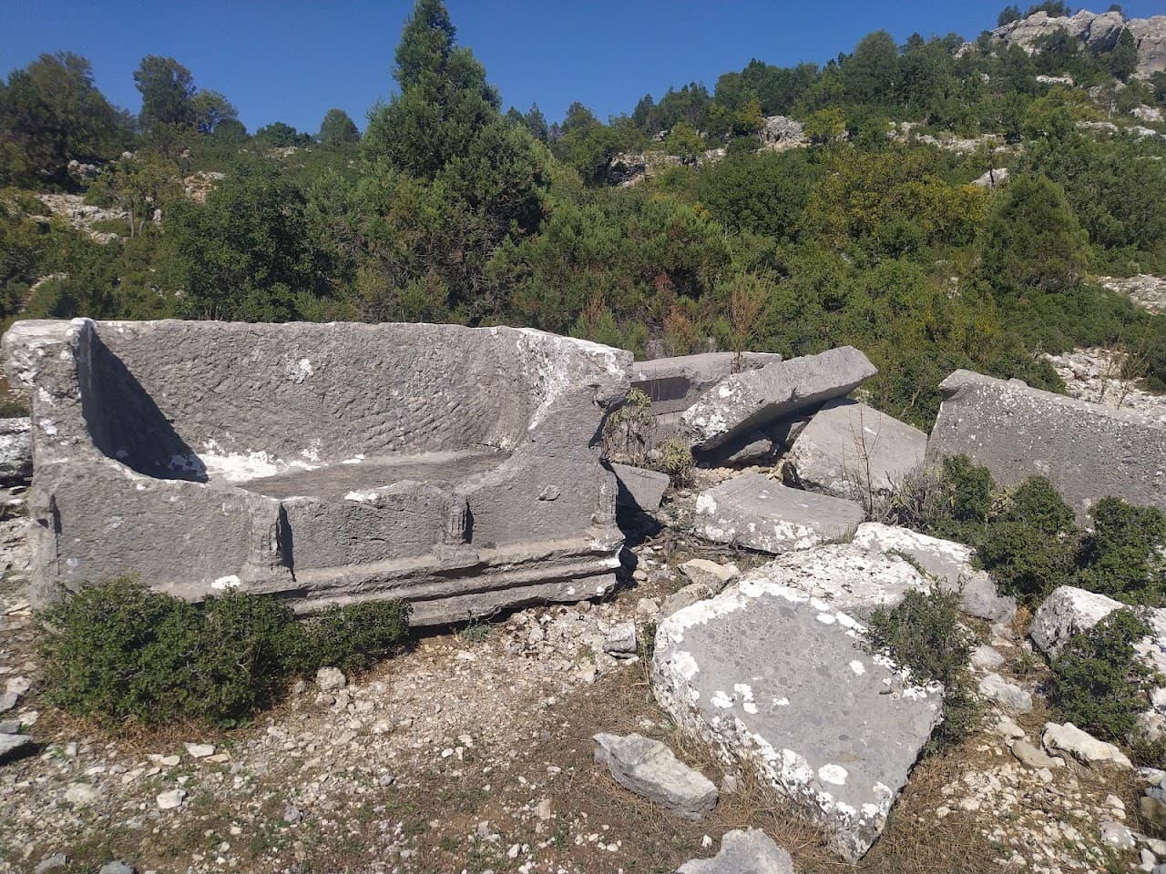 Zorzela (Kesme)