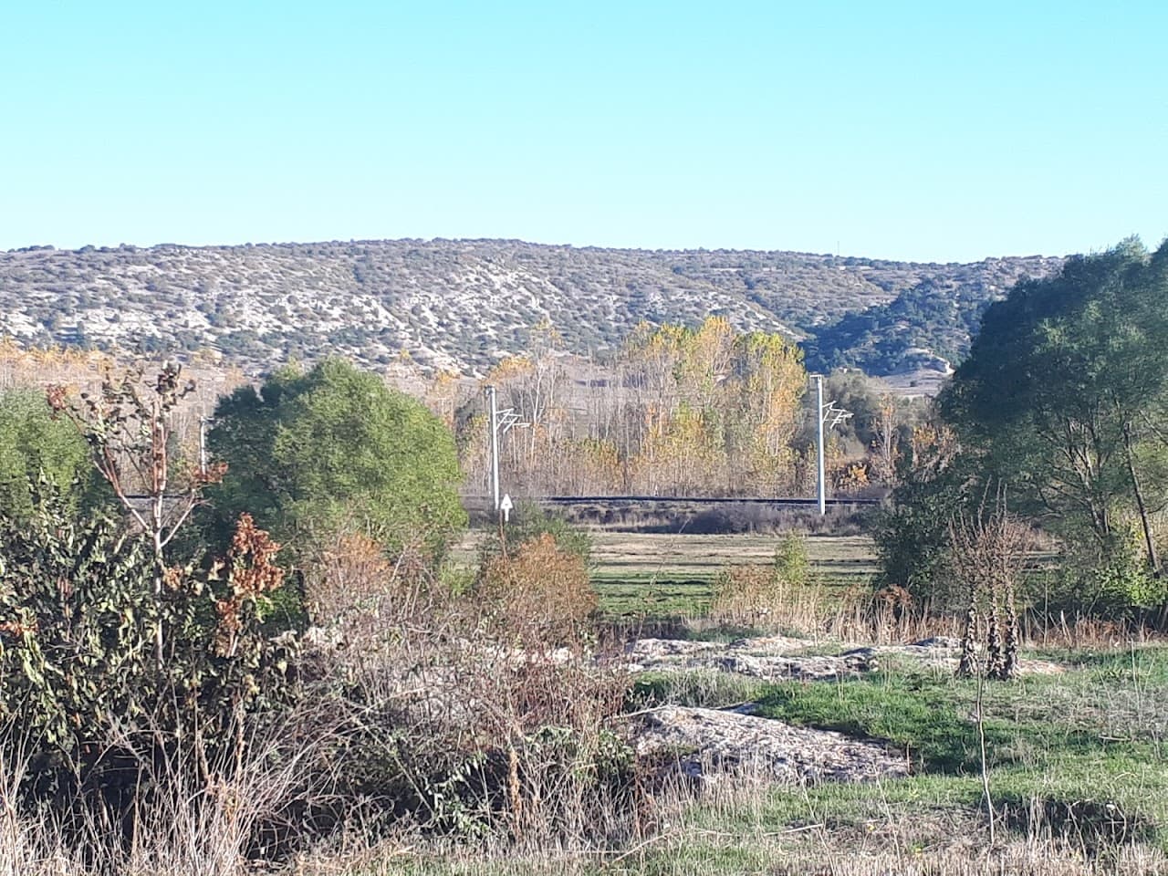 Gökçekısık