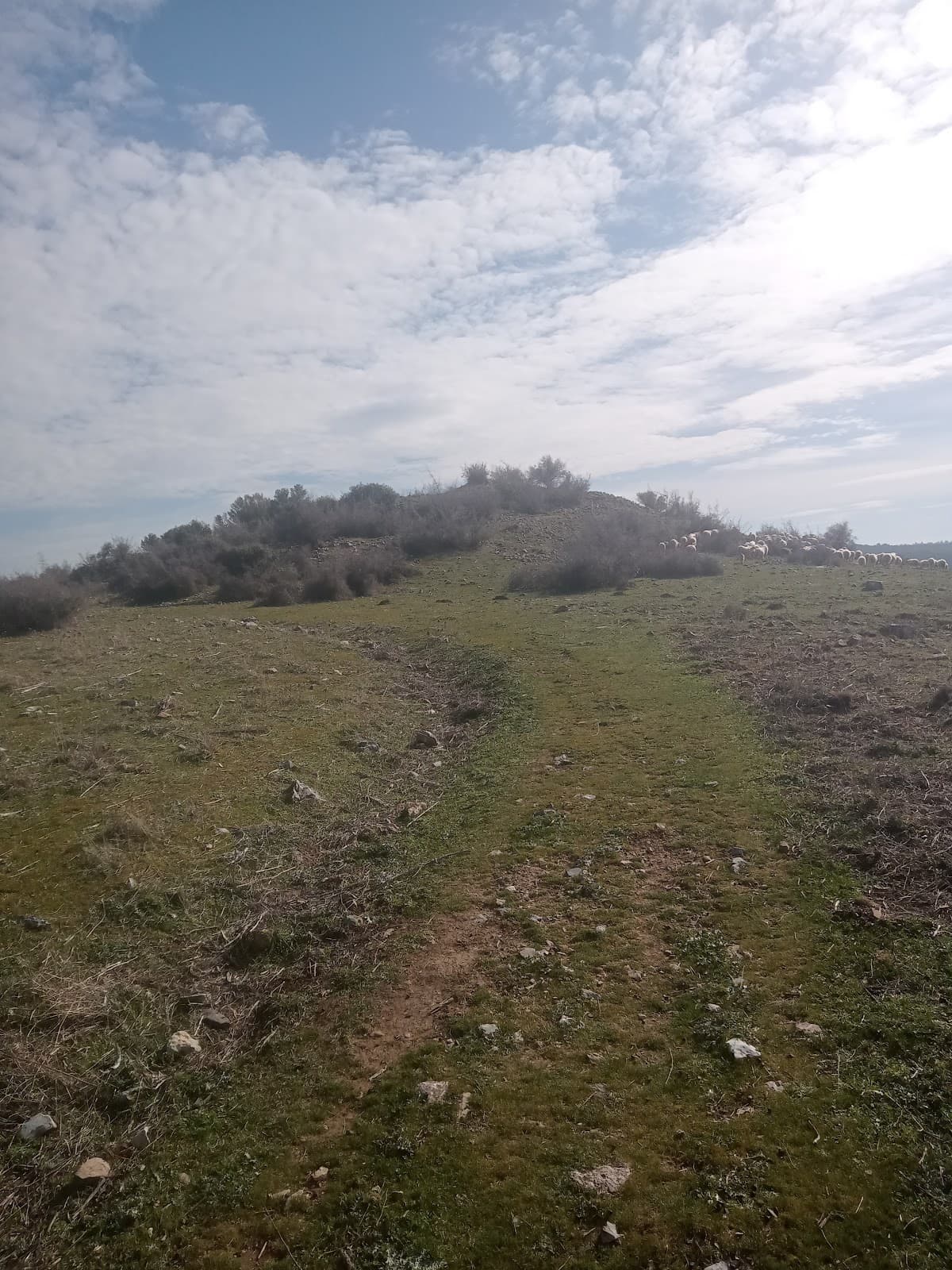 Ballı Dağ Höyüğü