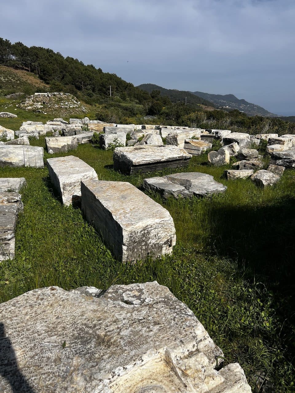 Tapınak