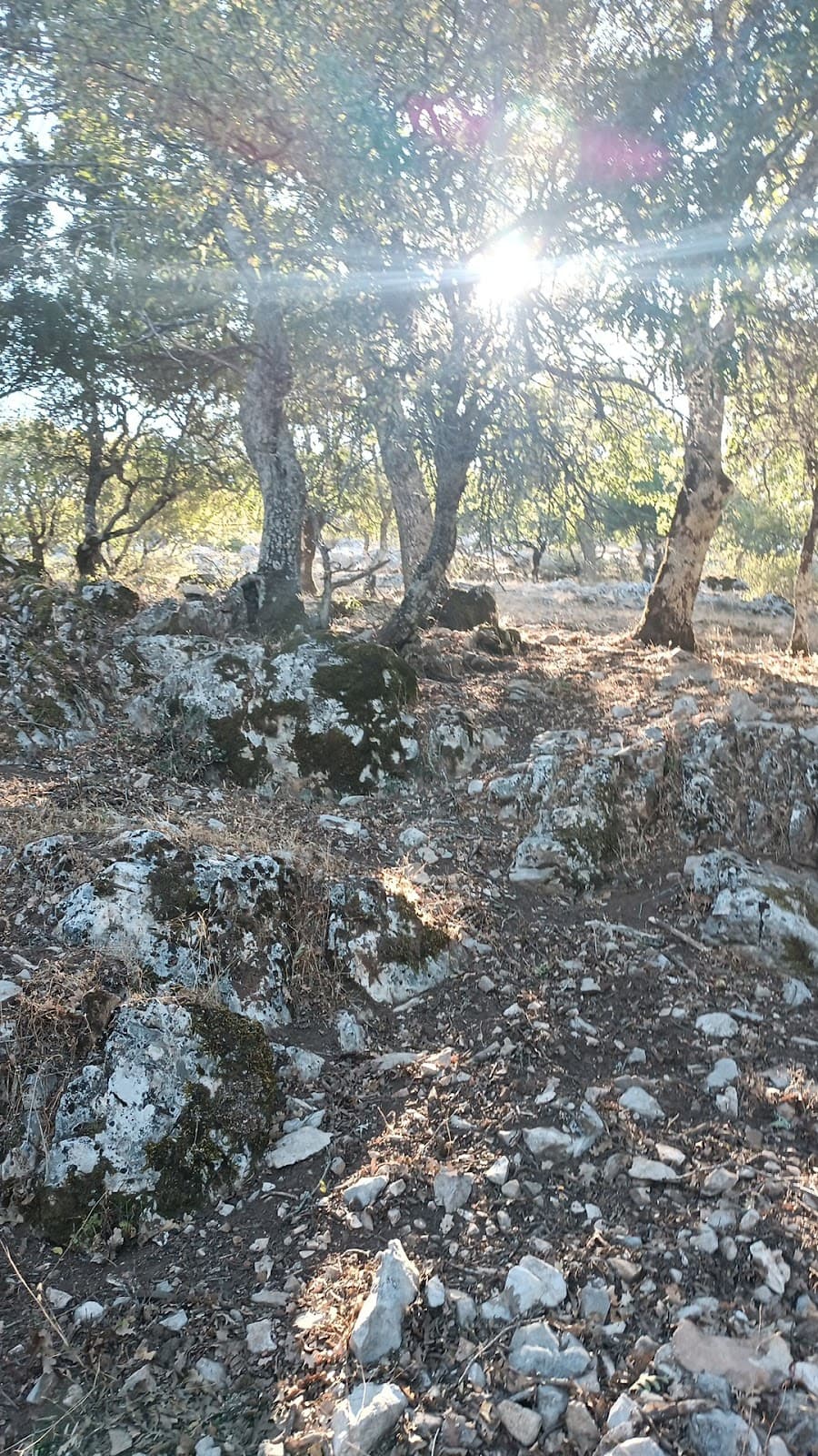 Paleo Gargara Antik Kenti
