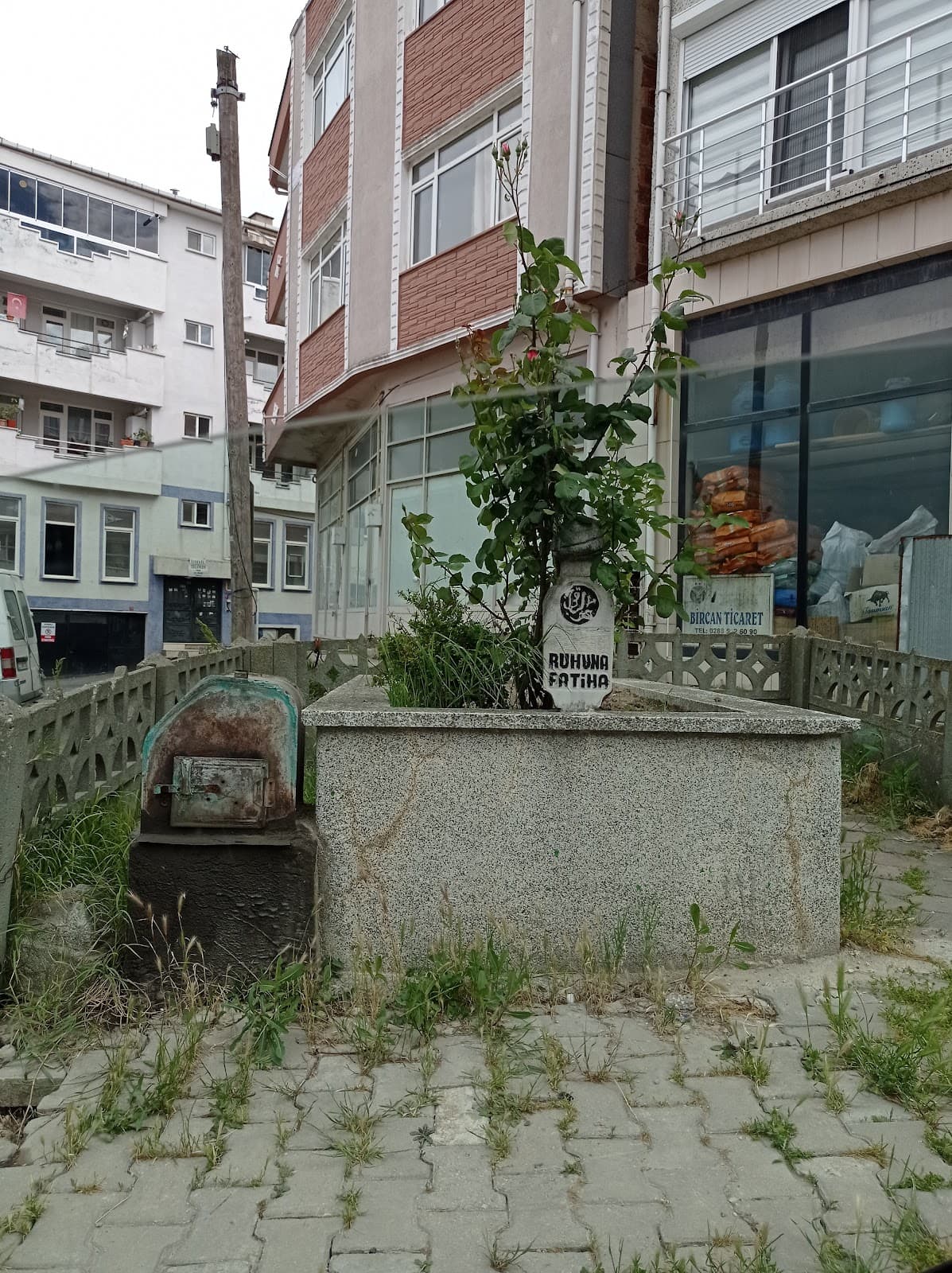 Şeyh Mahmud Şuhudi Türbesi