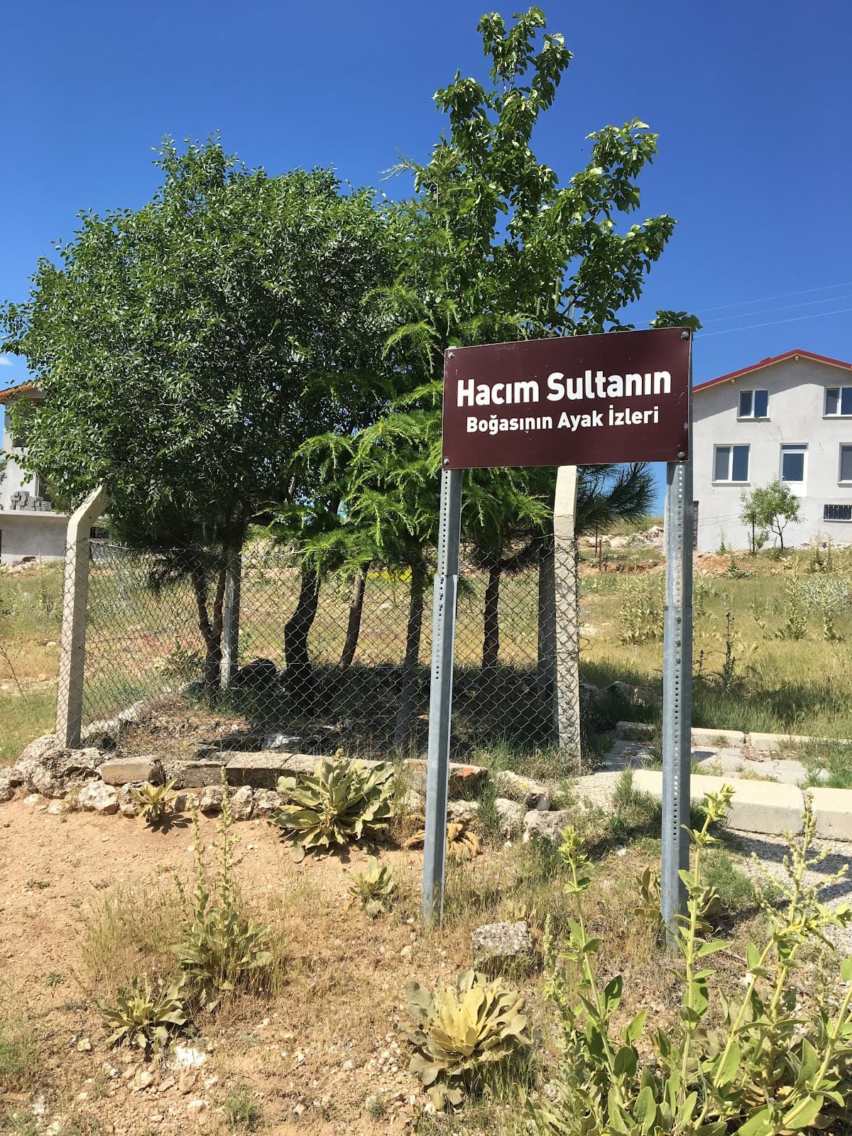 Hacım Sultan Boğasının Ayak İzleri
