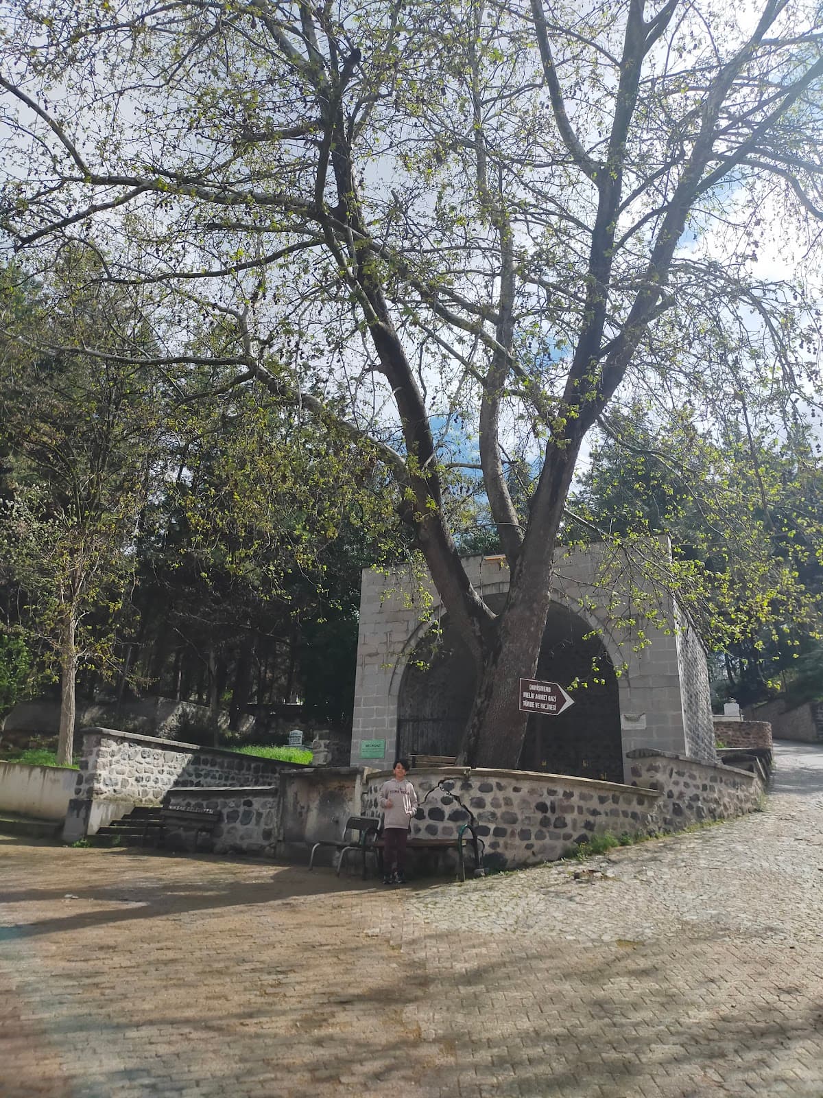 Doğan Şah Alp Türbesi, Niksar