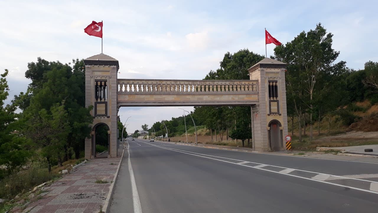 Cypsela