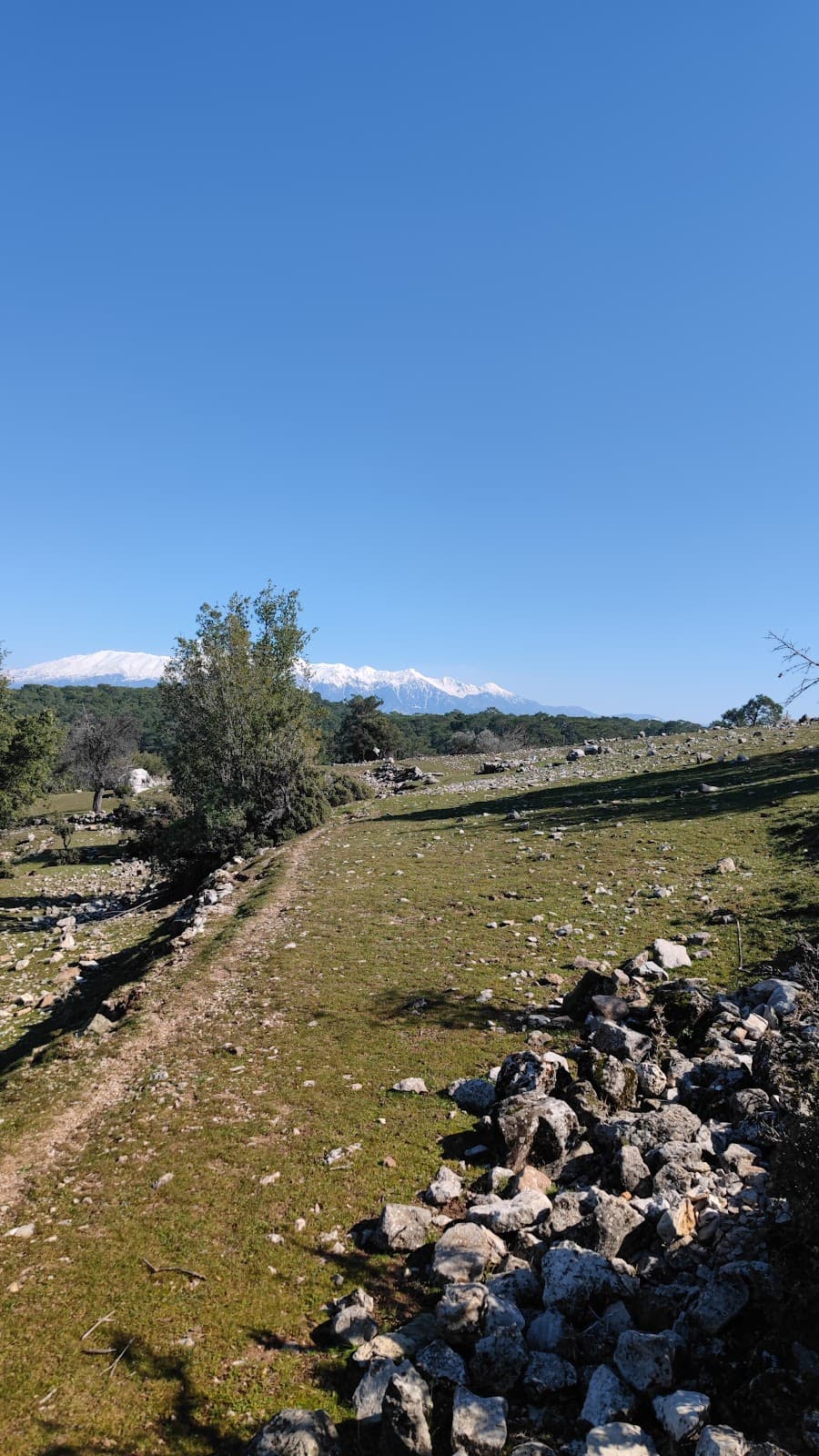 Aloanda
